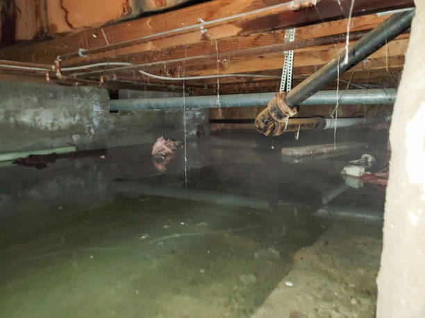 Local water damage restoration in Gulf Hills, MS