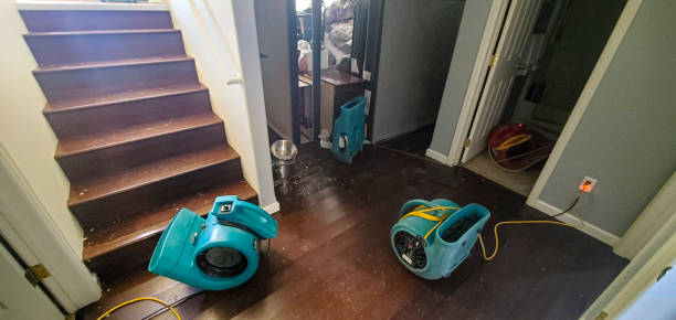 Best Water damage restoration near me  in Gulf Hills, MS