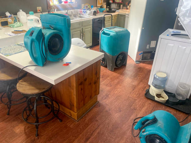 Best Emergency water damage restoration  in Gulf Hills, MS
