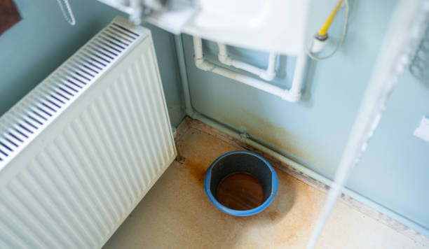 Best Water damage restoration near me  in Gulf Hills, MS